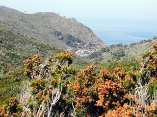 Porto, dal sentiero che si inoltra verso la piana